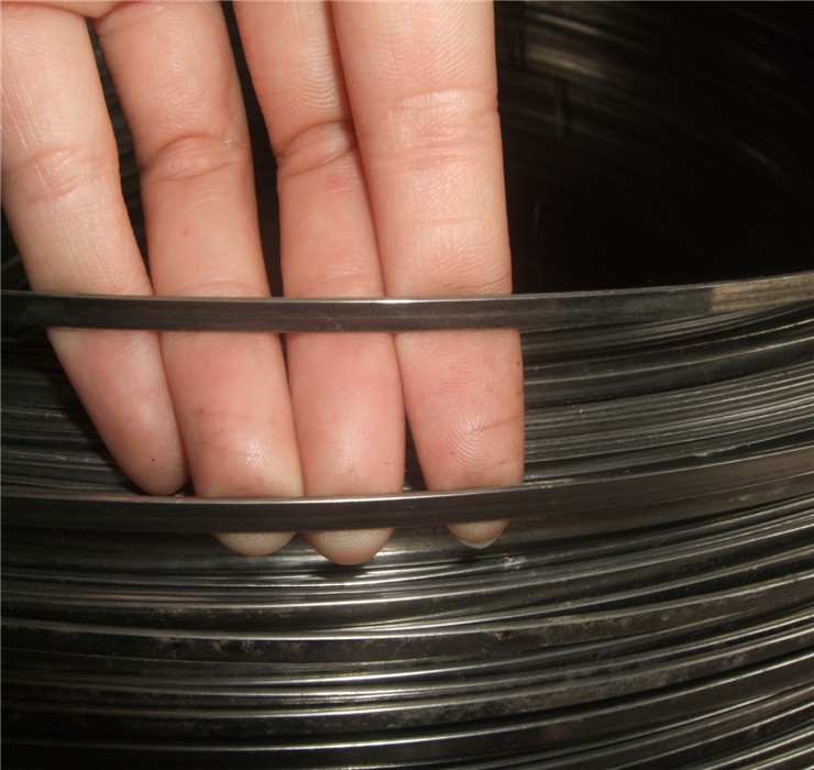 Cheap price 1mm*4mm AISI 304 flat steel wire and T Profiled steel for sale