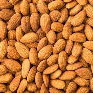 cheap Sale Organic Sweet Almond with best quality