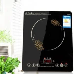 cheapest induction cooker
