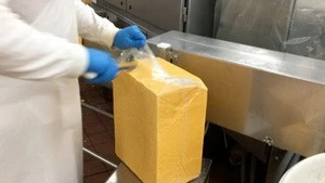 Cheese, Cheddar Cheese, Mozzarella Cheese