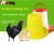 Import China Custom Made automatic poultry chain feeding system layers and broilers for chicken supplier from China