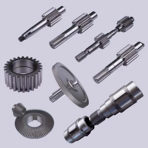 china factory transmission machinery drive spur gears