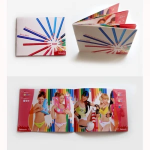 China manufacturer top quality picture book printing catalog/ brochure/magazine Printing