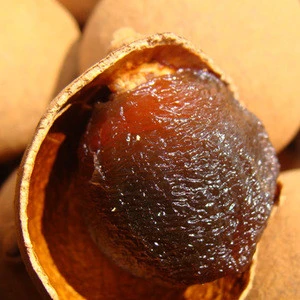 China Preserved fruit Export longan Dried longan