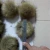 Import China supplier Wholesale price Faux Fur ball Fake fur pom pom from China
