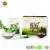 Import Chinese wholesale companies 826 instant puerh tea herbal slimming tea from China