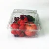 Clear disposable cheap packaging PET plastic food fruit tray