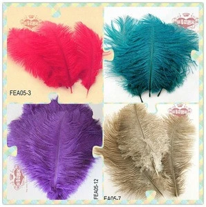 Colorful Ostrich Feather For Decoration