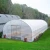 Import Commercial plastic film covering Single-span greenhouse from China