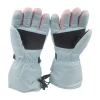 Custom Cheap Ski Glove/Winter Gloves/ Heated Gloves adult mitten