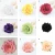 Import Custom colors wedding party brooch travel dancing decoration flower hair clip from China