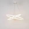 Custom New Arrival Modern Simple Style Design LED Big Ring Hanging light