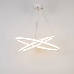 Custom New Arrival Modern Simple Style Design LED Big Ring Hanging light