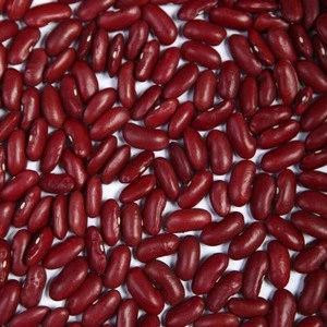 Dark Red Kidney Beans (Best Price and Quality)