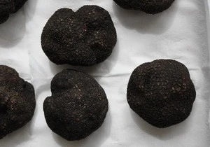 Detan Fresh Wild Black Chinese Truffle for sale