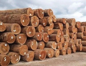 Doussie / Sapelli / Tali / Teak / Pachyloba Wood Logs