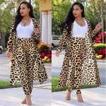 Dresses Women fall clothing Lady elegant Printed long coat leggings two piece set boutique clothing