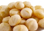 Dried Macadamia Nuts With The Best Price +84334800335 whatsapp