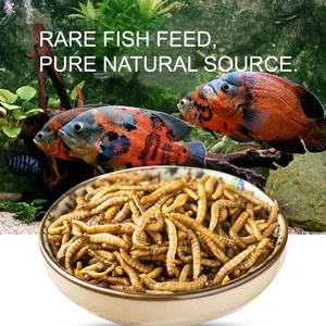 Eco fresh mealworm for pet food