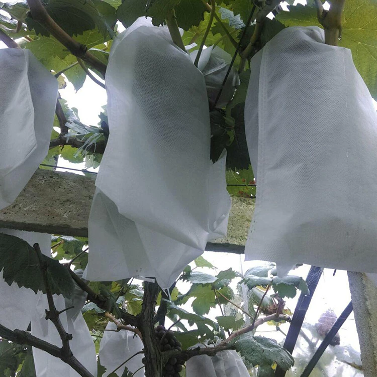 Eco non-woven spun-bonded nonwoven fabric for agriculture products