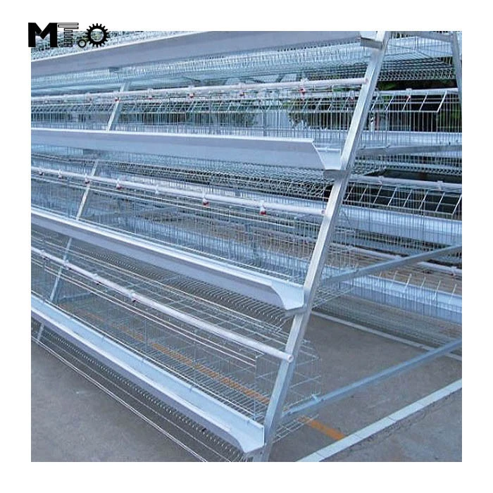 Egg Layer Chicken Cage For South Africa Poultry Farm Chicken House