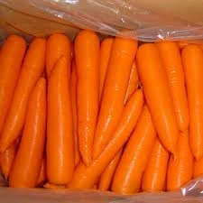 egyptian fresh carrot