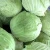 Import export green cabbage/Quality Fresh Cabbage from Canada