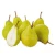 Import Export Price China New Crown Fresh Fruit Packham Pears from China
