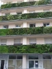 Exterior Decorating Artificial Vertical Garden for Balcony Cover