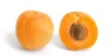 Factory direct selling apricot fresh dry apricot