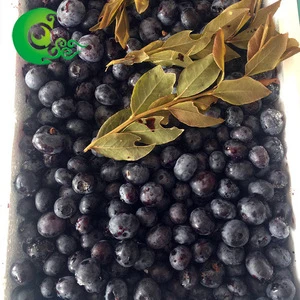 Factory prices natural organic iqf frozen wild blueberry