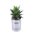 Import Factory sale artificial succulent plants tropical plants decorative artificial plants from China