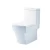 Import Factory supply directly European design ceramic material Siphonic one piece toilet from China