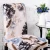Import Fashion color printing and dyeing chair covers universal size modern short   spandex chair cover from China