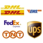 FCL logistic service dropshipping agent in Guangzhou China