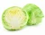 Import Fresh cabbage hot sale with best quality from Austria