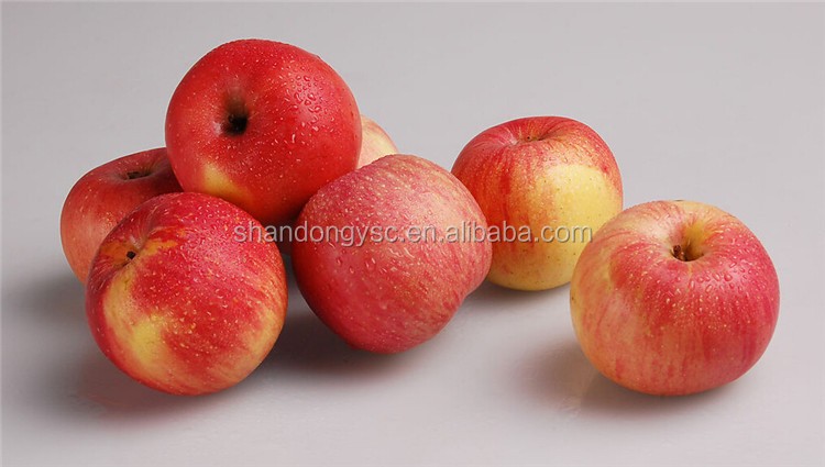 fresh Chinese granny smith apple for sale