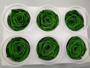 Fresh Cut Flowers Processing Type Preserved Rose Flower With White,Red,Pink Color From China