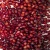 Import Fresh frozen pomegranate Fruit from India
