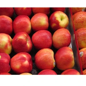 Buy Fresh Fuji Apple Fruit, Red Fuji Apples, Fresh Custard Apple  Fruit/delicious Apple Fruit/mature Apples Fruit For Sale from MSGLOBALGROUP  CO., LTD., Thailand