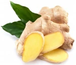 fresh ginger and garlic