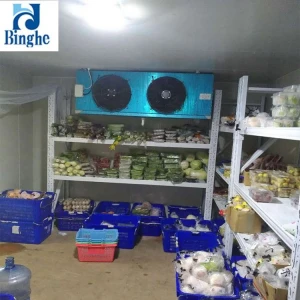 fresh onion export to dubai frozen store project frozenstream walk in cooler commercial walk in freezer prices