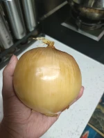 Fresh Onions are red and yellow and cheap