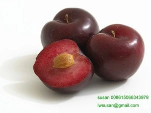 fresh plums for sale