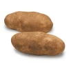 Fresh potato price 100% high quality export in Egypt