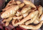 FRESH TAPIOCA/CASSAVA