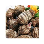 Fresh Taro with Good Quality for Exporting