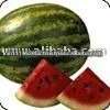 Fresh Watermelon in best discounts