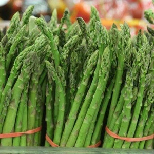 FROZEN and Fresh Asparagus !!!
