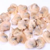 Frozen Seafood Importers Hard Clam Meat in Shellfish Highly Quality